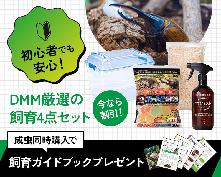 ヘラクレスオオカブトの通販・販売なら DMM昆虫