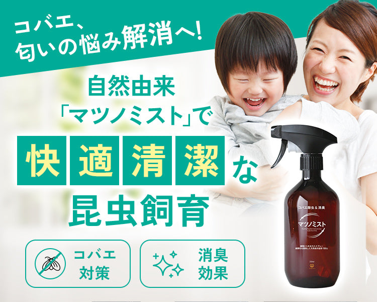 ヘラクレスオオカブトの通販・販売なら DMM昆虫