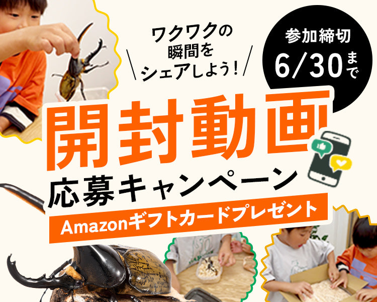 ヘラクレスオオカブトの通販・販売なら DMM昆虫