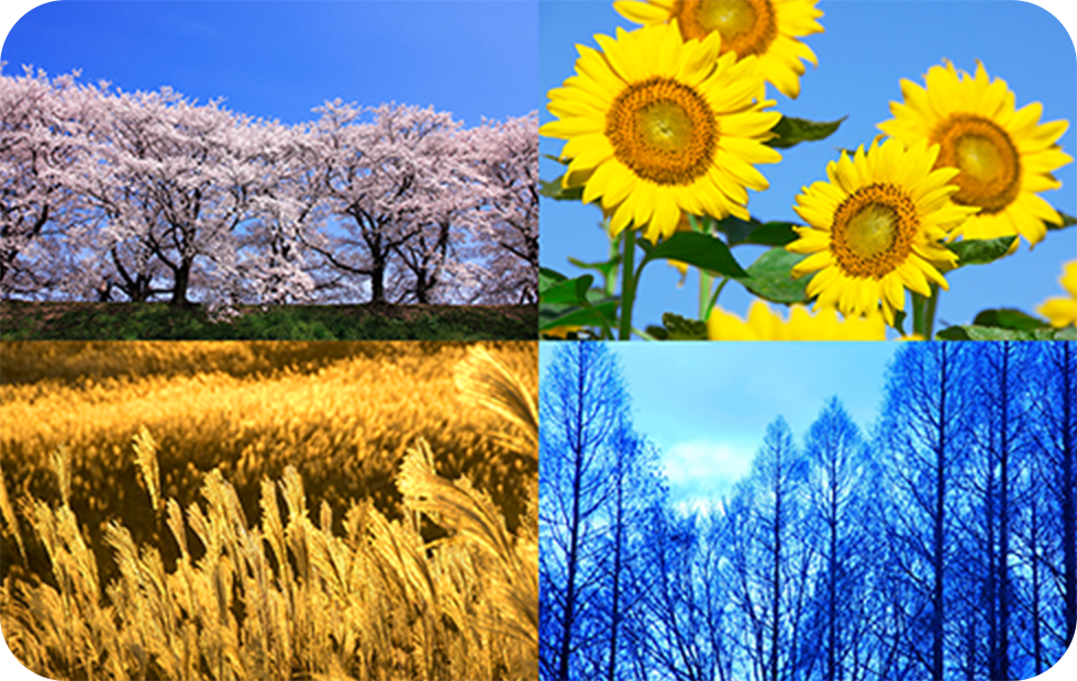 ヘラクレスと季節