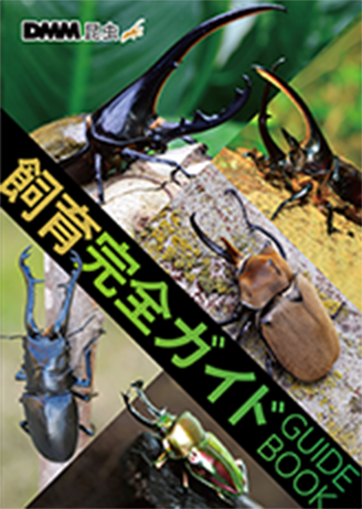 飼育完全ガイド GUIDE BOOK